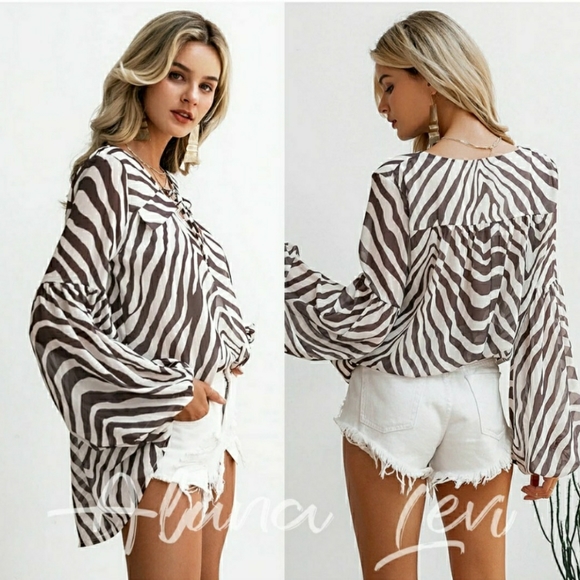 Zebra Striped Printed Blouse - Picture 2 of 4